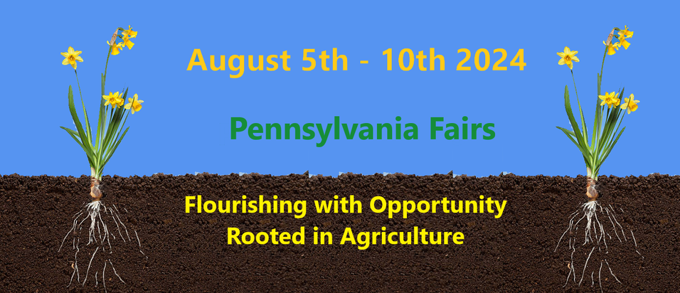 Carbon County Fair |